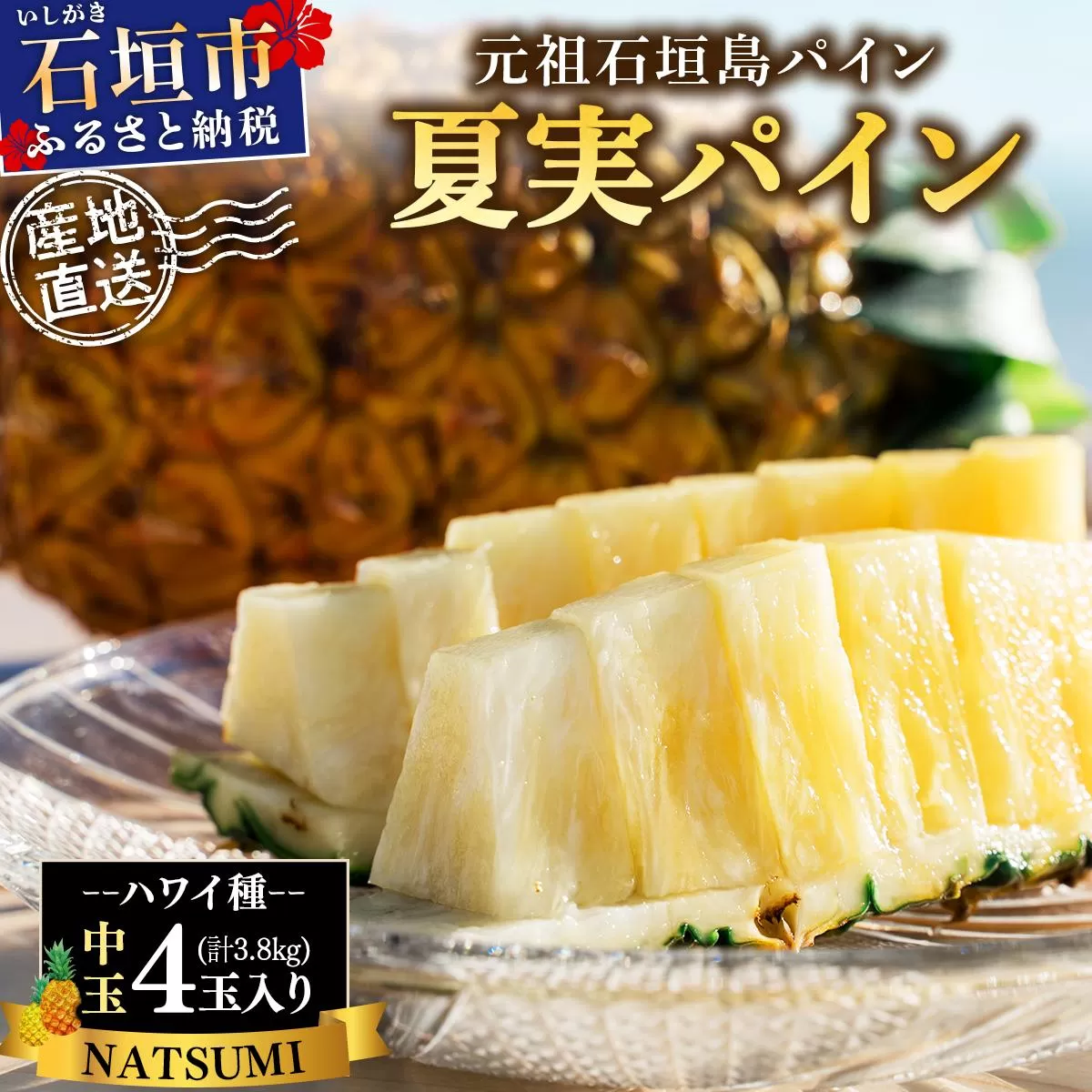 【先行予約】石垣島産 夏実パイン (ハワイ種) 中玉4玉 約3.8kg《2026年7月下旬発送》【 産地直送 沖縄 石垣 フルーツ パイナップル パイン ハワイ 夏実パイン 】SI-125