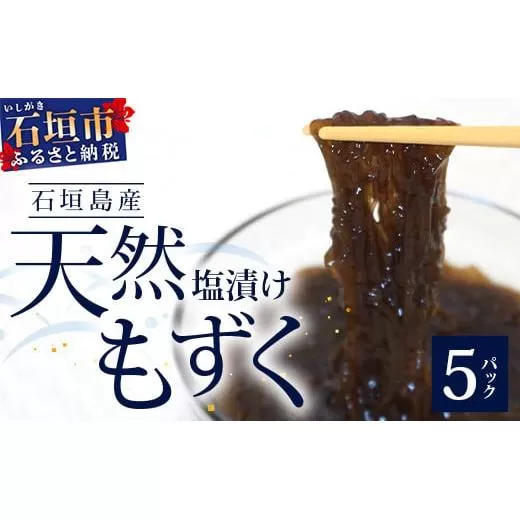 天然もずく(塩漬け) 2.25kg (450g×5個) 【石垣島特産】 | 沖縄 石垣島 八重山 もずく 塩もずく