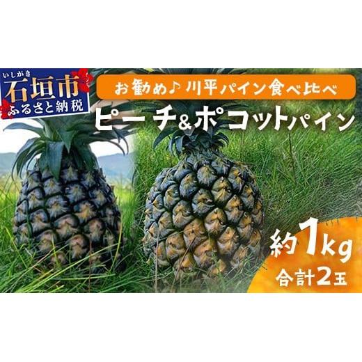 【先行予約】ピーチ&ポコットパイン食べ比べ 1kg(計2玉)お勧め♪川平パイン《2026年5月~10月頃順次発送》KN-5