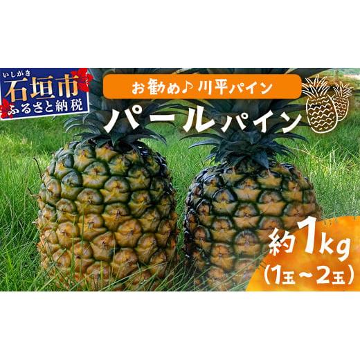 【先行予約】パールパイン1kg(1~2玉)お勧め♪川平パイン《2026年7月~8月頃順次発送》KN-2