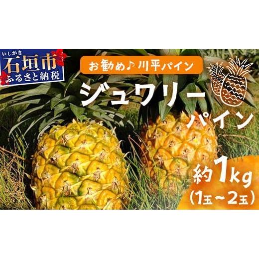 【先行予約】ジュワリーパイン1ｋｇ（1～2玉）お勧め♪川平パイン《2026年7月～8月頃順次発送》KN-1