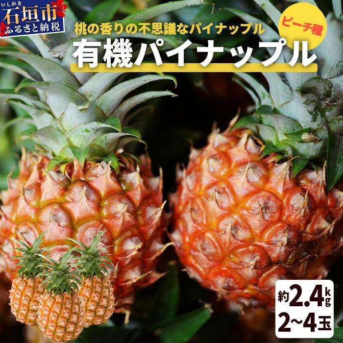 ＜先行予約＞ 石垣島産 有機パイナップル ピーチ種 2～4玉 (約2.4kg)《6月上旬順次発送》| パイナップル パインアップル 石垣島パイン フルーツ 果物 くだもの 南国フルーツ 国産パイン E-40