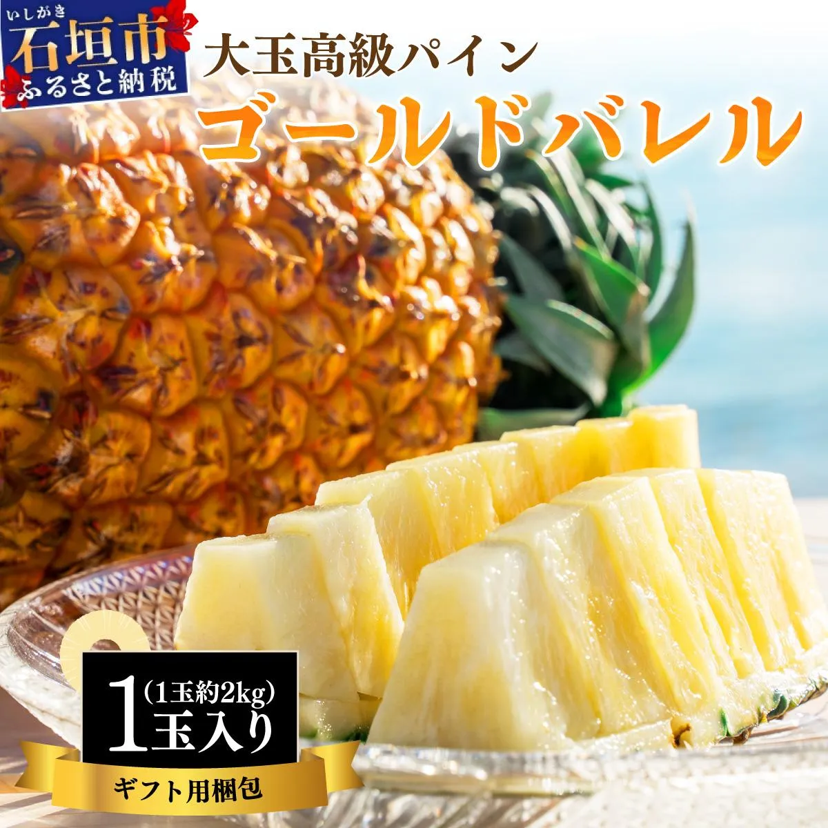 <先行予約> 石垣島産 ゴールドバレル1玉 約2.0kg ギフト用梱包 <2026年7月以降発送> | ギフト 贈り物 産地直送 沖縄 石垣 フルーツ パイナップル パイン ゴールドバレルパイン SI-127