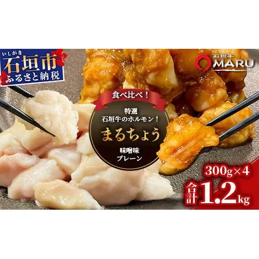 希少な特選石垣牛のホルモンをご家庭で!!マルチョウ300g×4パック 秘伝の味噌味とプレーンの食べ比べセット【 沖縄 石垣 和牛 石垣牛 希少 特選 肉 味噌 みそ 味付 ホルモン マルチョウ 冷凍 小分け 】IM-19