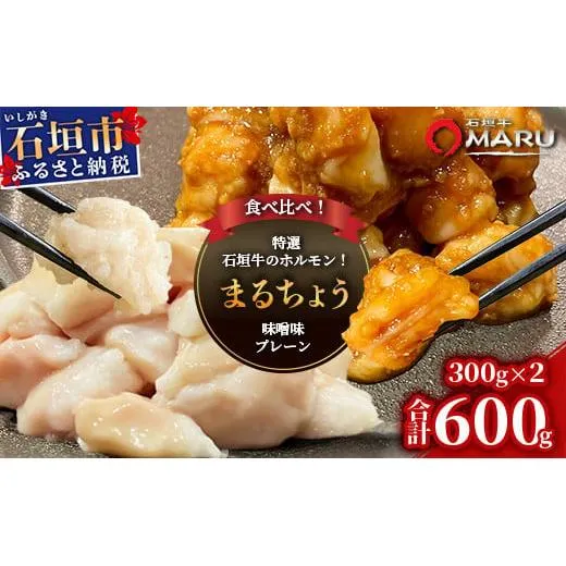 希少な特選石垣牛のホルモンをご家庭で!!マルチョウ300g×2パック 秘伝の味噌味とプレーンの食べ比べセット【 沖縄 石垣 和牛 石垣牛 希少 特選 肉 味噌 みそ 味付 ホルモン マルチョウ 冷凍 小分け 】IM-18