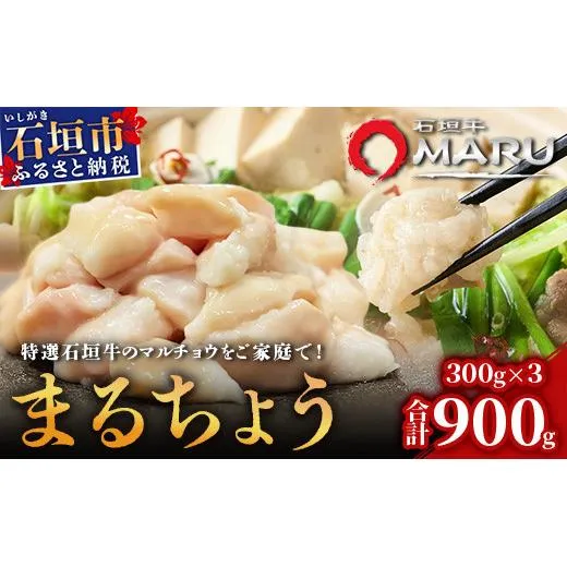 希少な特選石垣牛のホルモンをご家庭で!!マルチョウ300g×3パック【 沖縄 石垣 和牛 石垣牛 希少 特選 肉 ホルモン マルチョウ 冷凍 小分け 】IM-13