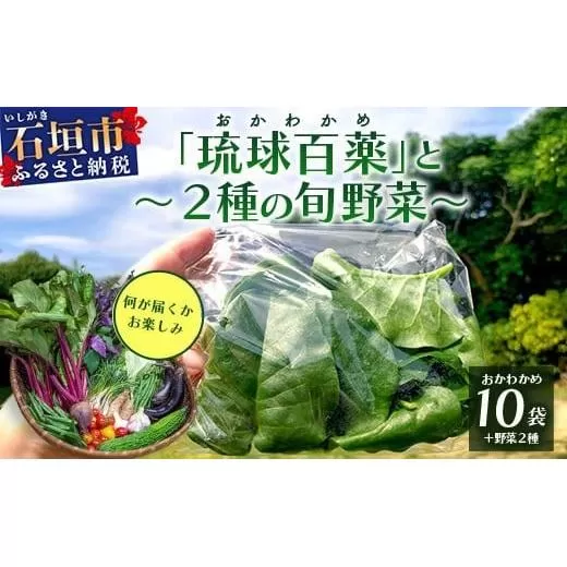 ＜先行予約＞2026年2月順次発送／沖縄の健康長寿の秘訣「琉球百薬（おかわかめ）」10袋と旬の野菜詰め合わせ！農薬を使わない栽培方法を続けるミネイさんの野菜【 沖縄 石垣島 石垣島産 野菜 セット 詰合せ 農薬不使用 離島のいいもの 沖縄いいもの石垣島 】OI-24