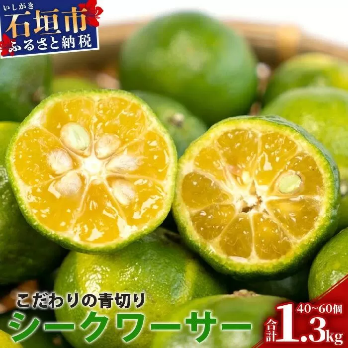 【先行予約】≪2026年8月以降順次発送≫こだわりの青切りシークワーサー 1.3kg 約40～60個 【 産地直送 沖縄 石垣島 石垣 八重山 シークワーサー 柑橘 フルーツ くだもの 果物 】TF-041