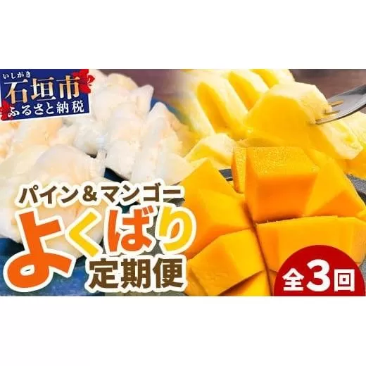 《2026年5月～7月順次発送》【先行予約】島のおいしいを贅沢に！パイナップル2種とマンゴー1種のよくばり定期便【 沖縄 石垣 ピーチ マンゴー パイン パイナップル 完熟 セット フルーツ デザート 食べ比べ 定期便 】 TF-38_R8