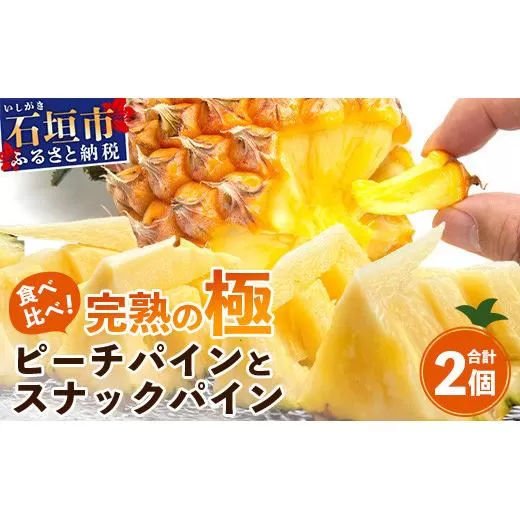 《2026年4月～6月順次発送》【先行予約】最高糖度20度以上！？ 完熟の極 石垣島産ピーチパインとスナックパインの食べ比べセット【 沖縄 石垣 ピーチ スナック パイン パイナップル 完熟 セット フルーツ デザート 食べ比べ 】TF-33_R8