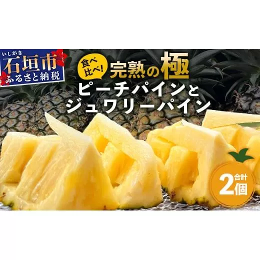 《2026年5月～7月順次発送》【先行予約】最高糖度20度以上！？ 完熟の極 石垣島産ピーチパインとジュワリーパインの食べ比べセット【 沖縄 石垣 ジュワリー ピーチ パイン パイナップル 完熟 セット フルーツ デザート 食べ比べ 】 TF-32_R8