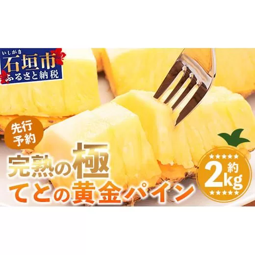 《2026年5月中旬以降順次発送》【先行予約】香りに溺れる！？ 完熟の極 てとの黄金パイン大玉約2kg【 沖縄 石垣 ゴールデン パイン パイナップル 完熟 セット フルーツ デザート オリジナル 】 TF-31_R8