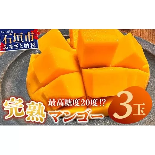 《2026年6月下旬～7月発送》【先行予約】最高糖度20度！？ 完熟！3Lサイズ 石垣島マンゴー 3玉入り【 沖縄 石垣島 石垣 八重山 マンゴー 完熟 期間限定 数量限定 沖縄県 石垣島産 】TF-28_R8