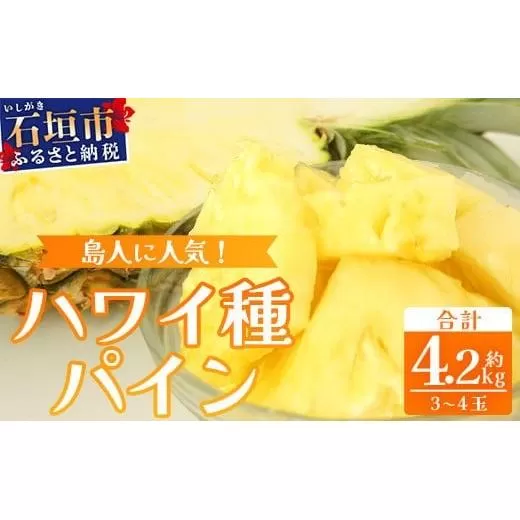 【先行予約】《2026年7月上旬頃より順次発送》石垣島産 ハワイ種パイン 3～4玉セット 約4.2㎏【 産地直送 石垣島産 石垣 完熟 パイン パイナップル 】TD-7