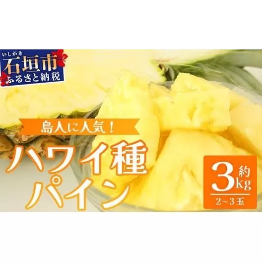 【先行予約】《2026年7月上旬頃より順次発送》石垣島産 ハワイ種パイン 2～3玉セット 約3㎏【 産地直送 石垣島産 石垣 完熟 パイン パイナップル 】TD-6