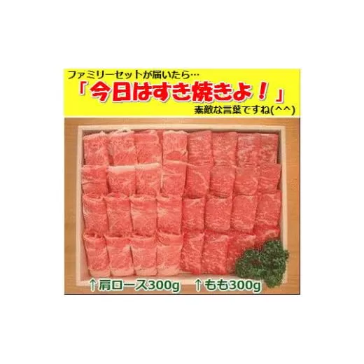 石垣牛・すき焼きファミリーセット300g×2種 計600g もも+肩ロース 冷凍便 | 沖縄県 石垣市 牛肉 お肉 すきやき スキヤキ 鍋 SI-085