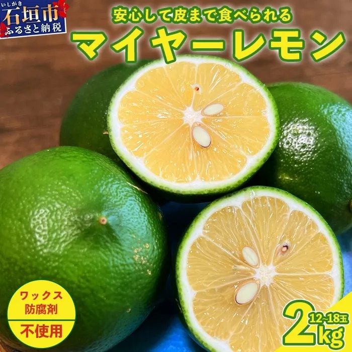 【先行予約】≪2026年8月以降順次発送≫ こだわりの青切りマイヤーレモン 約2kg (12～18個) 【 沖縄 石垣 数量限定 フルーツ レモン マイヤー メイヤー こだわり 】TF-027