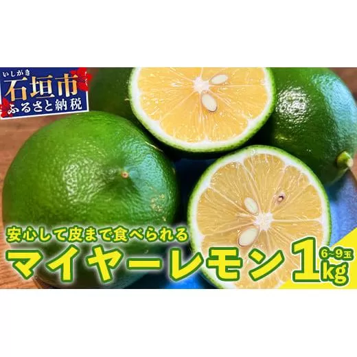 【先行予約】≪2026年8月以降順次発送≫こだわりの青切りマイヤーレモン 約1kg (6～9個) 【 沖縄 石垣 数量限定 フルーツ レモン マイヤー メイヤー こだわり 】TF-026