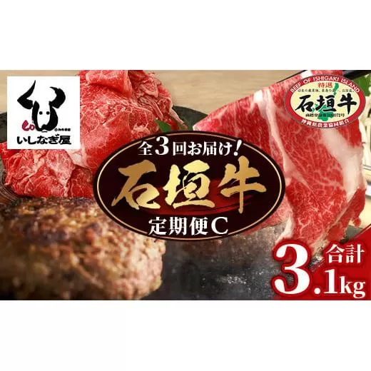 【全3回 定期便C】 石垣牛 切り落としスライス・ハンバーグ・肩ロースすきしゃぶ 計3.1kg(いしなぎ屋)【 特選肉 肉 高級 黒毛和牛 和牛 牛 】AB-31