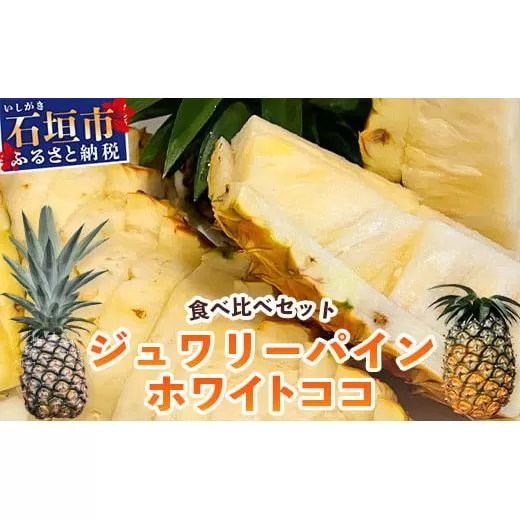 【マツコの知らない世界で絶賛！】《2026年5月～7月順次発送》最高糖度20度！？ 完熟の極 石垣島産ジュワリーパインとホワイトココの食べ比べセット 【 沖縄 石垣島 石垣 八重山 パイン ホワイト ジュワリー 期間限定 数量限定 TV テレビ 紹介 マツコ 】TF-20_R8
