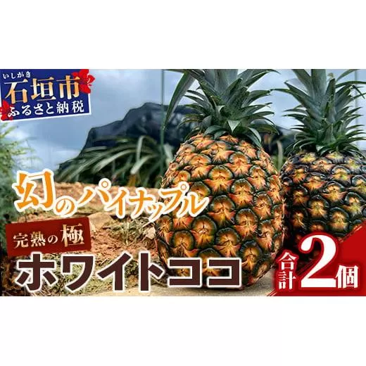 【マツコの知らない世界で絶賛！】《2026年5月以降順次発送》[先行予約] 最高糖度20度！？ 完熟の極 石垣島産幻のパイナップル ホワイトココ2個セット【 沖縄 石垣島 石垣 八重山 パイン パイナップル 期間限定 数量限定 TV テレビ 紹介 マツコ 】TF-2_R8