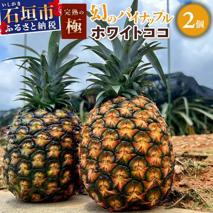 【マツコの知らない世界で絶賛！】《2027年5月以降順次発送》[先行予約] 最高糖度20度！？ 完熟の極 石垣島産幻のパイナップル ホワイトココ2個セット【 沖縄 石垣島 石垣 八重山 パイン パイナップル 期間限定 数量限定 TV テレビ 紹介 マツコ 】TF-002