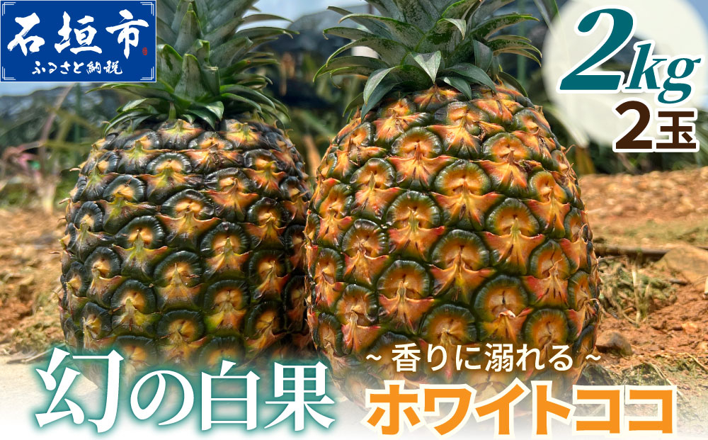 マツコの知らない世界で絶賛！】《2027年5月下旬以降順次発送》香りに