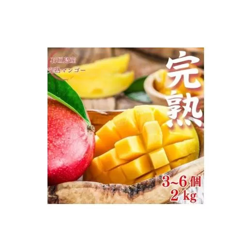 ＜先行予約＞ 石垣島産 完熟マンゴー 約2kg (3～6個入り) 化粧箱入り ＜2026年7月中旬以降発送＞ | 完熟マンゴー 産地直送 沖縄 石垣 フルーツ マンゴー アップルマンゴー 完熟マンゴー SI-056
