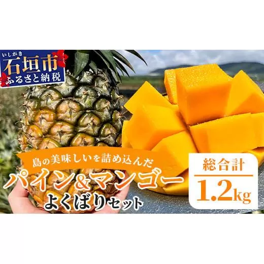 《2026年6月中旬以降発送》島の美味しいを詰め込んだ、パイン＆マンゴーのよくばりセット！【 沖縄県 石垣市 石垣島 完熟 パイン パイナップル スナック マンゴー セット 詰め合わせ 産地直送 】TF-24_R8