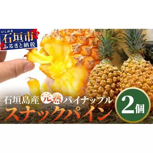 《2026年4月～6月発送》最高糖度18度！？ 石垣島産完熟スナックパイン 2個セット 【 沖縄県 石垣市 石垣島 完熟 パイン パイナップル スナック 産地直送 】TF-23_R8