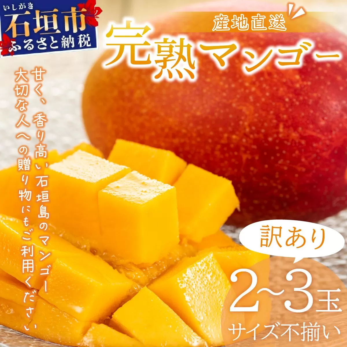 ＜先行予約＞【訳あり】マンゴー サイズ不揃い 2～3玉 (約1kg) ＜2026年7月上旬から発送＞ 訳あり品 マンゴー KP-26