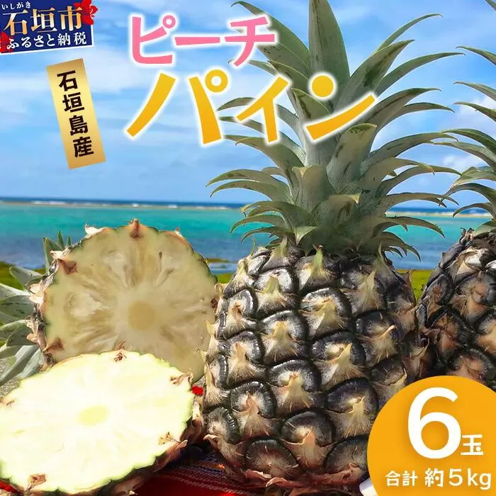 【先行予約】 《2026年5月上旬頃より順次発送》石垣島産 ピーチパイン (6玉 約5㎏)【 産地直送 沖縄 石垣 パイナップル フルーツ 】 TP-12