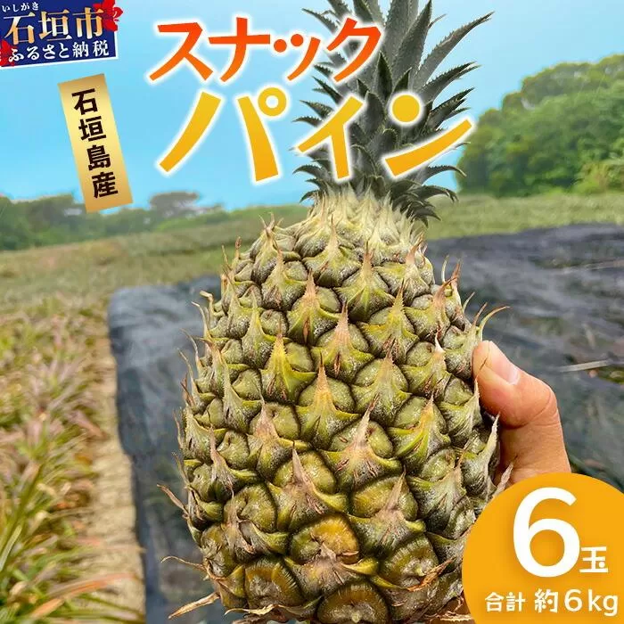 【先行予約】《2026年5月上旬頃より順次発送》石垣島産 スナックパイン (6玉 約6kg) 【 産地直送 沖縄 石垣 パイナップル パイン スナック フルーツ トロピカル 南国 】 TP-9-1