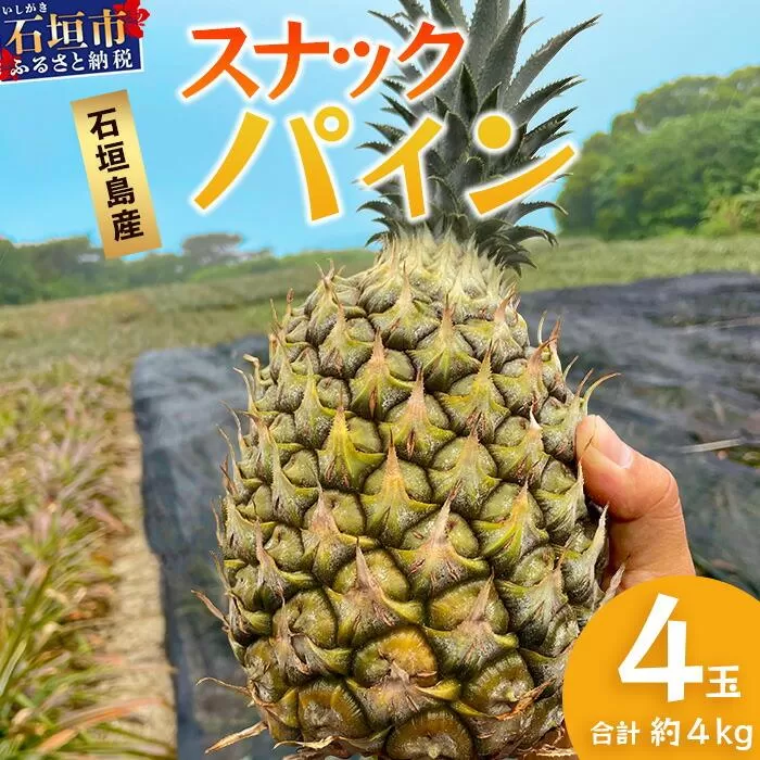 【先行予約】《2026年5月上旬頃より順次発送》石垣島産 スナックパイン (4玉 約4kg)【 産地直送 沖縄 石垣 パイナップル パイン スナック フルーツ トロピカル 南国 】 TP-8-1