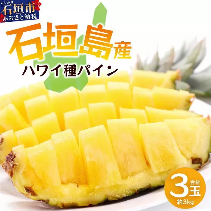 【先行予約】《2026年6月上旬頃より順次発送》石垣島産 ハワイ種 パイン (3玉 約3㎏) 【 産地直送 沖縄 石垣 パイナップル フルーツ 】石垣さんちの石垣トロピカルファーム TP-4