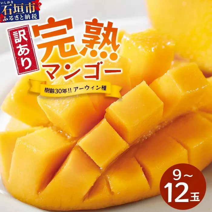 【訳あり】石垣島産 マンゴー (アーウィン種)  9～12玉(箱含め約5kg) 《樹齢30年の木で育ったマンゴー》｜産地直送 沖縄 石垣島 マンゴー  アーウィン マンゴー フルーツ TP-3