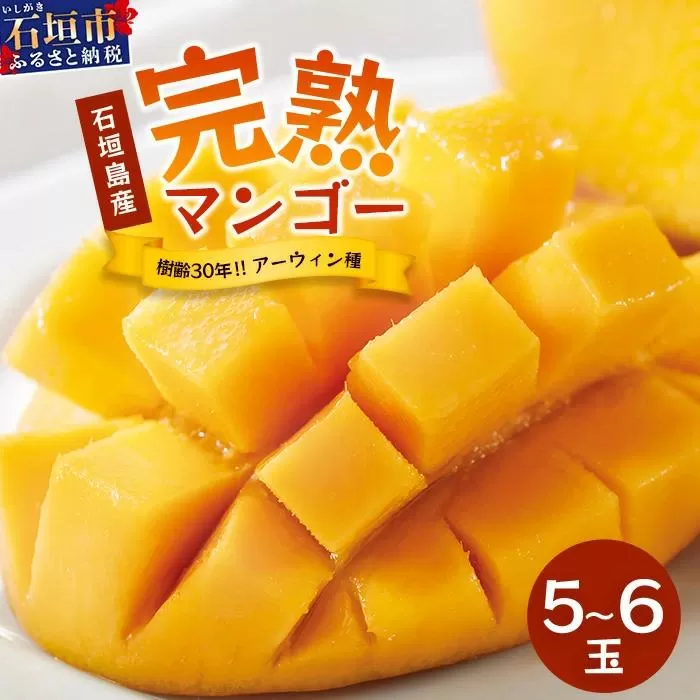 【先行予約】《2026年7月以降より順次発送》石垣島産 マンゴー (アーウィン種) 5～6玉(箱含め約2kg)《樹齢30年の木で育ったマンゴー》｜産地直送 沖縄 石垣島 マンゴー  アーウィン マンゴー フルーツ TP-2