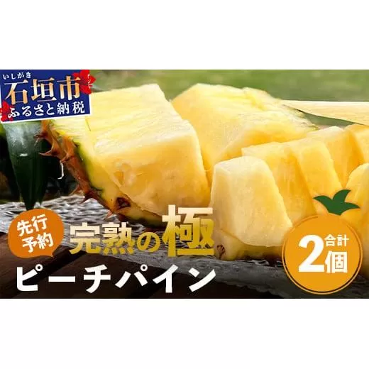 《2026年4月以降順次発送》最高糖度20度！？ 完熟の極 石垣島産パイナップル ピーチパイン2個セット【 沖縄 石垣島 石垣 八重山 パイン ピーチパイン 期間限定 数量限定 沖縄県 石垣島産 】TF-19-1_R8