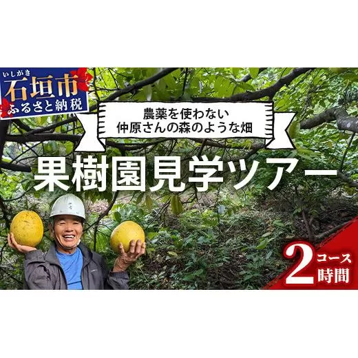 ＜1回1組限定プライベート体験ツアー！＞農薬を使わない、仲原さんの「森のような畑」【 沖縄 石垣島 畑 果樹園 見学 体験 ツアー 食育 野菜 果物 沖縄いいもの石垣島 】OI-21-1