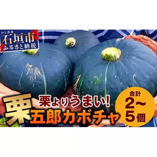 《先行予約》高級カボチャ「栗五郎」サイズ色々2-5個、お得セット！農薬を使わないシリカ水栽培 (3月～5月順次発送)【 産地直送 沖縄県 石垣島産 カボチャ かぼちゃ 野菜 離島のいいもの 沖縄いいもの石垣島 】OI-13