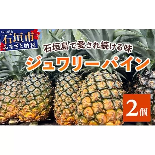 【予約受付】《2026年5月下旬～7月中旬発送》最高糖度18度！？ 完熟の極 石垣島産ジュワリーパイン 【 沖縄県 石垣市 石垣島 完熟 パイン パイナップル ジュワリー 予約受付 】TF-16-1_R8