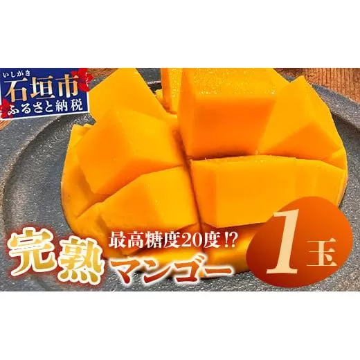 《2026年6月下旬～7月下旬発送》【先行予約】最高糖度20度！？ 完熟！3Lサイズ 石垣島マンゴー 約400g【 沖縄 石垣島 石垣 八重山 マンゴー 完熟マンゴー 期間限定 数量限定 沖縄県 石垣島産 】TF-10-1_R8