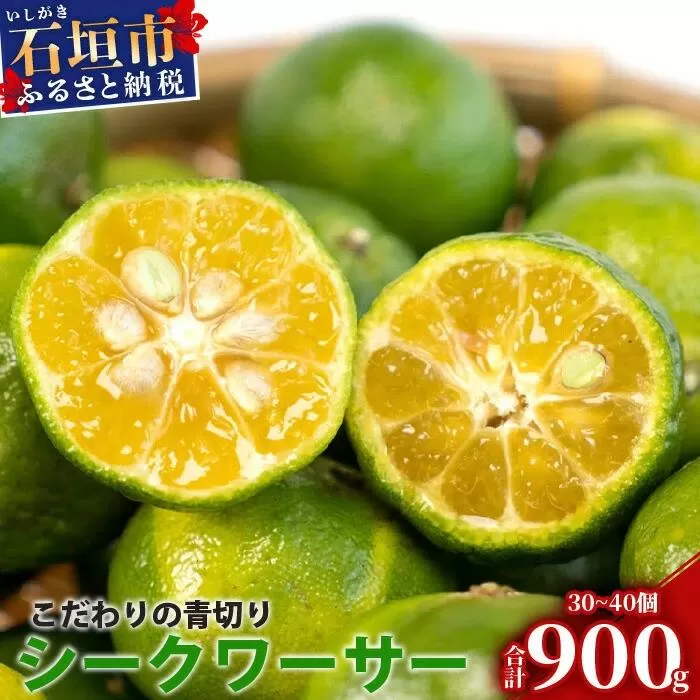 【先行予約】≪2026年8月以降順次発送≫ こだわりの青切りシークワーサー 900g 約30～40個 【 産地直送 沖縄 石垣島 石垣 八重山 シークワーサー 柑橘 フルーツ くだもの 果物 】TF-007