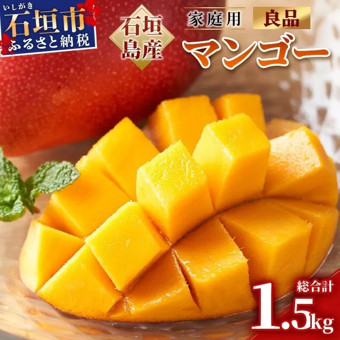 <先行予約> 石垣島産 マンゴー (アーウィン種) 約1.5kg (2~5玉) 家庭用 <2026年6月順次発送> | 産地直送 家庭用 訳あり 沖縄県 石垣市 石垣島 JA 訳ありマンゴー マンゴー アーウィン AE-11
