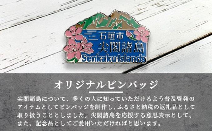 石垣市 尖閣諸島 オリジナルピンバッジ 1個 【「尖閣諸島を応援する