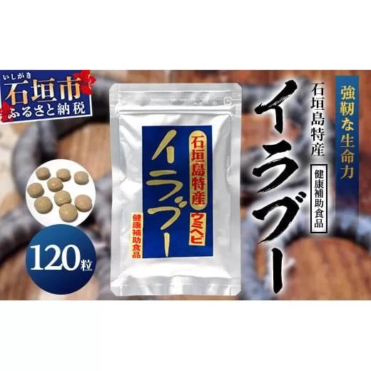 石垣島産「イラブー(海ヘビ)」粉末 120粒入り袋　健康補助食品・約1ヶ月分【 海へび 海蛇 栄養補助食品 サプリメント サプリ 錠 粒 アミノ酸 ミネラル ビタミン 】SI-35