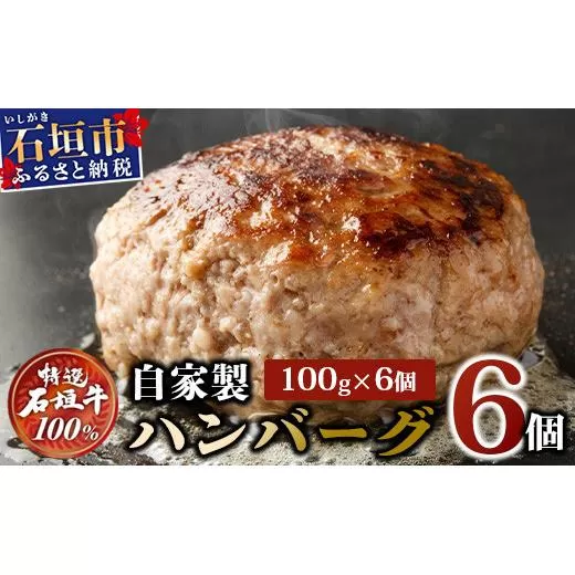 高級 黒毛和牛 石垣牛 100% 自家製 ハンバーグ 100g × 6個 600g　I-21