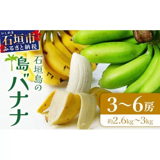 ＜先行予約＞ 石垣島の島バナナ 3～6房 (約2.6～3kg前後入り) ＜2026年7月より順次発送＞ 爽やか酸味のスッキリ系バナナ、少し冷やしてもイイんです！ SI-34