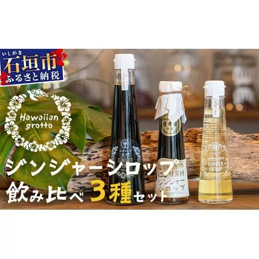 ジンジャーシロップ飲み⽐べ3種セット(200ML×1本、120ML×2本)　HW-5 【沖縄県石垣市 沖縄 沖縄県 琉球 八重山 八重山諸島 石垣 石垣島 送料無料 ⽯垣島産⽣姜 生姜 シロップ ジンジャー ジンジャーシロップ グラニュー糖 黒糖 砂糖 ⾚唐⾟⼦ 果汁 塩 ⽯垣の塩 レモングラス レモン フルーツ ミント  ギフト 国産】