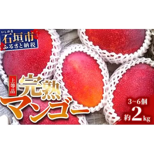 ＜先行予約＞ 石垣島産 完熟マンゴー 約2kg エコ箱入り (3～6個入り) ＜2026年7月中旬以降発送＞ | SI-032